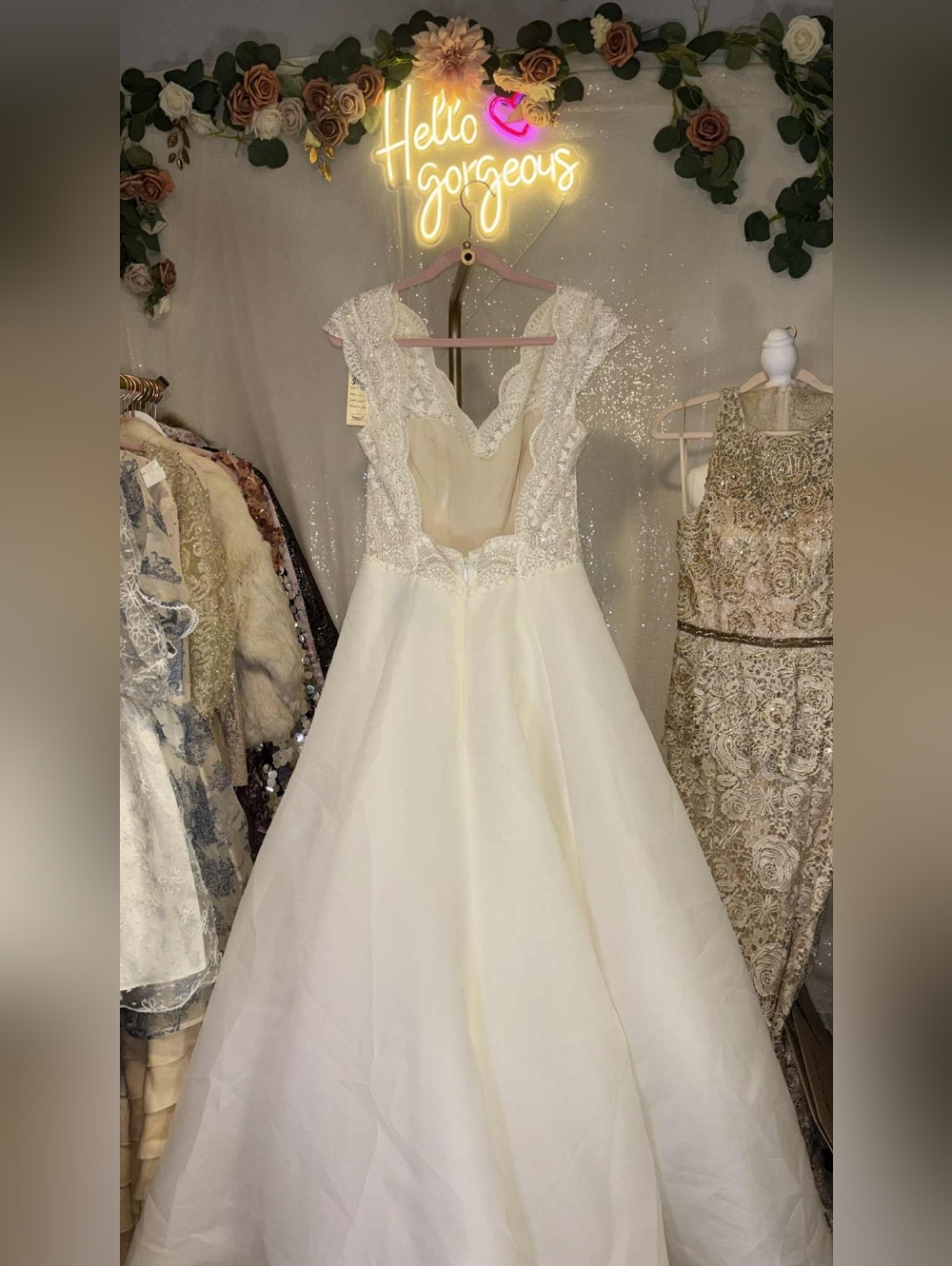 Anne Barge Blue Willow Collection Size 12 Pearl/ivory Lilith Wedding Gown - Picture 7 of 8